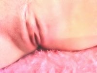 Bilik Sembang Luar Talian SOFIA_SEX_CAMGIRL