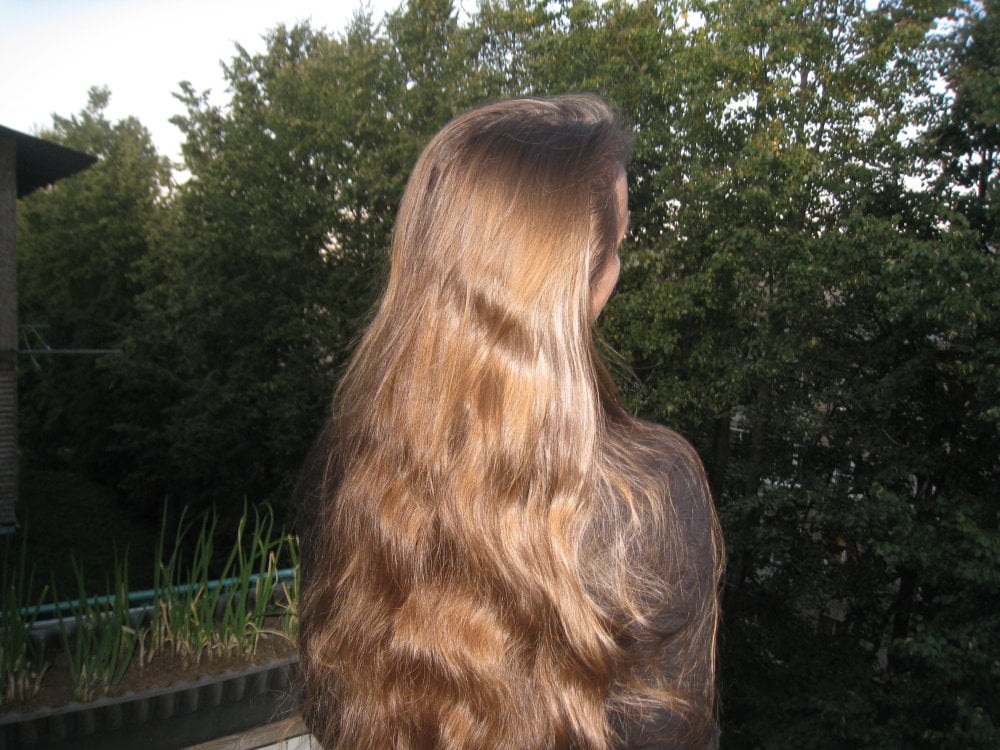 DorothyLime profile