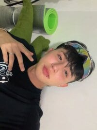 Модель Alexander_and_Xiao