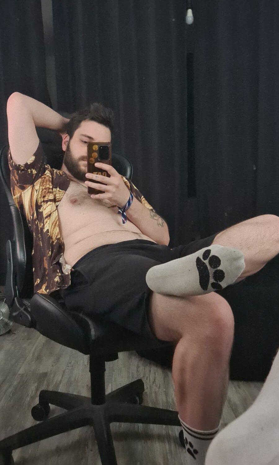 German_Young_Bear profile