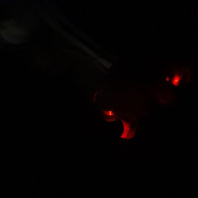 Aranox098 Live Cam on StripChat