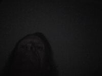 Travislovescum's webcam live show