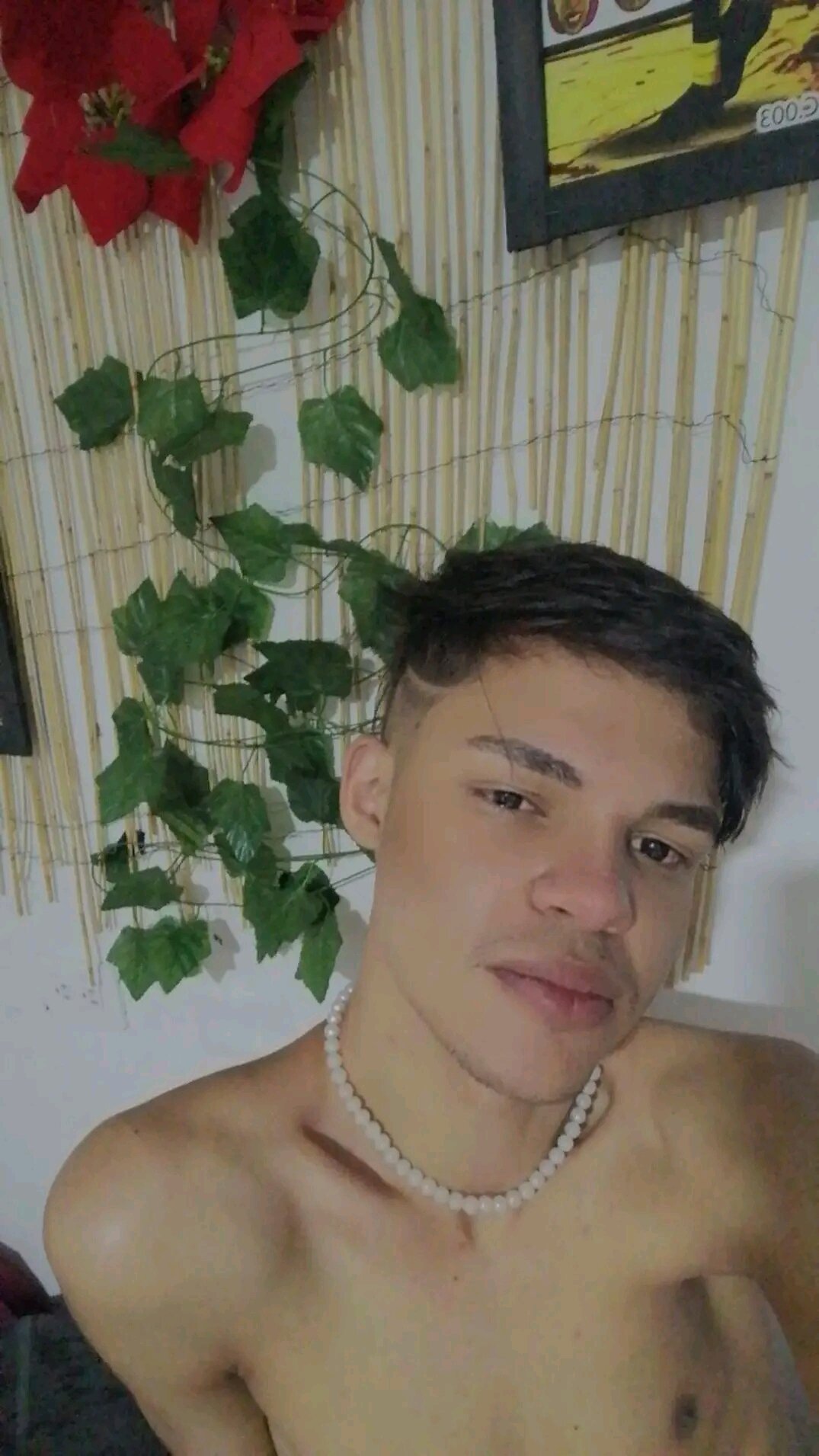 Alfon19