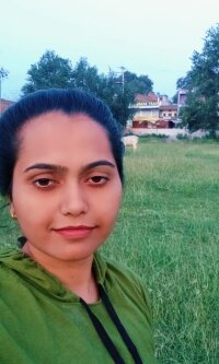 Pmji33 offline chatrum