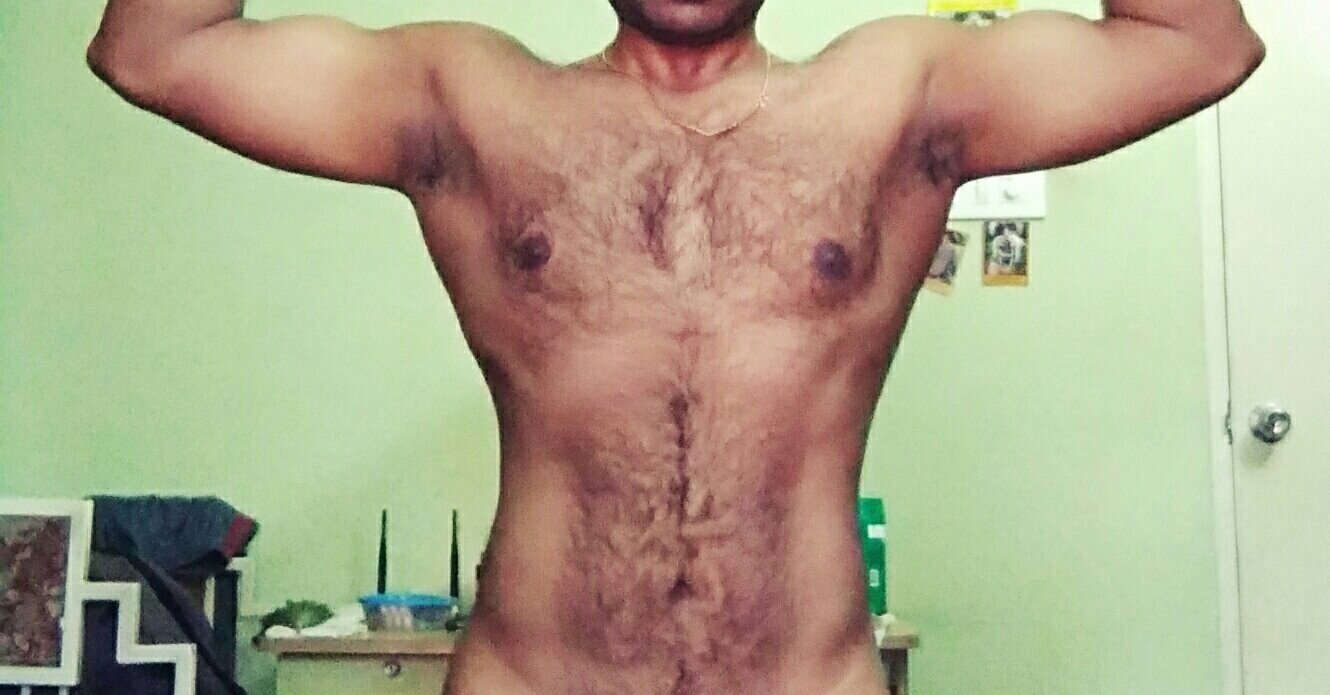 indiana_bull live webcam