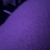 Caami_69's Offline Chat Room