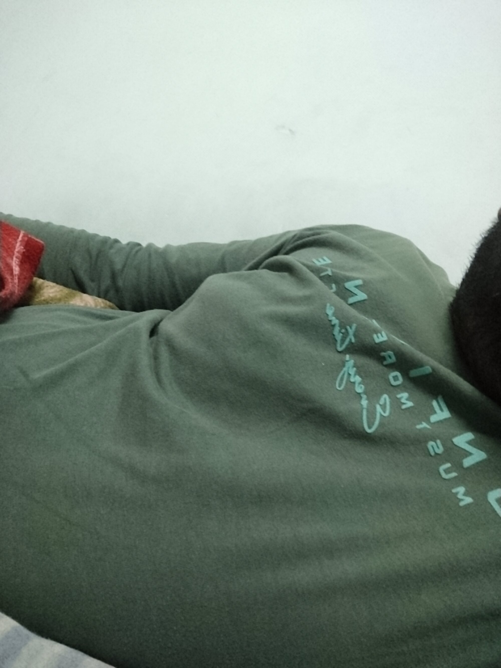 freeforfun