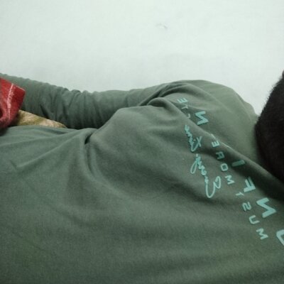 Freeforfun