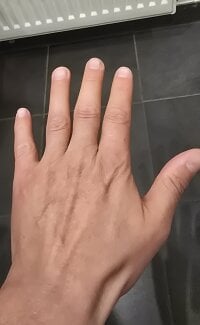 Sneakybill82's webcam live show