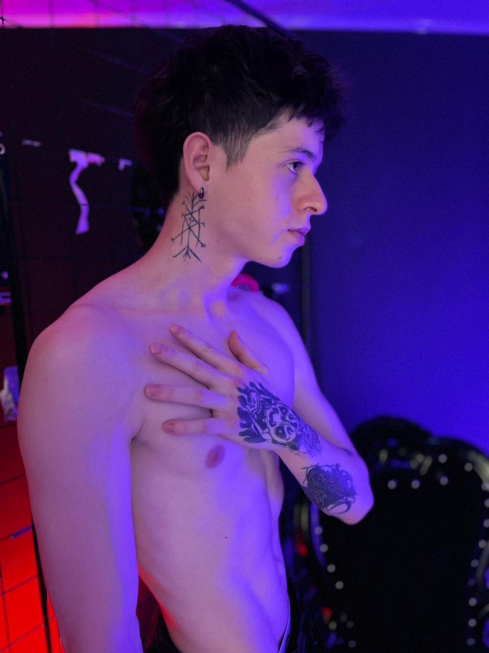 arlexx_
