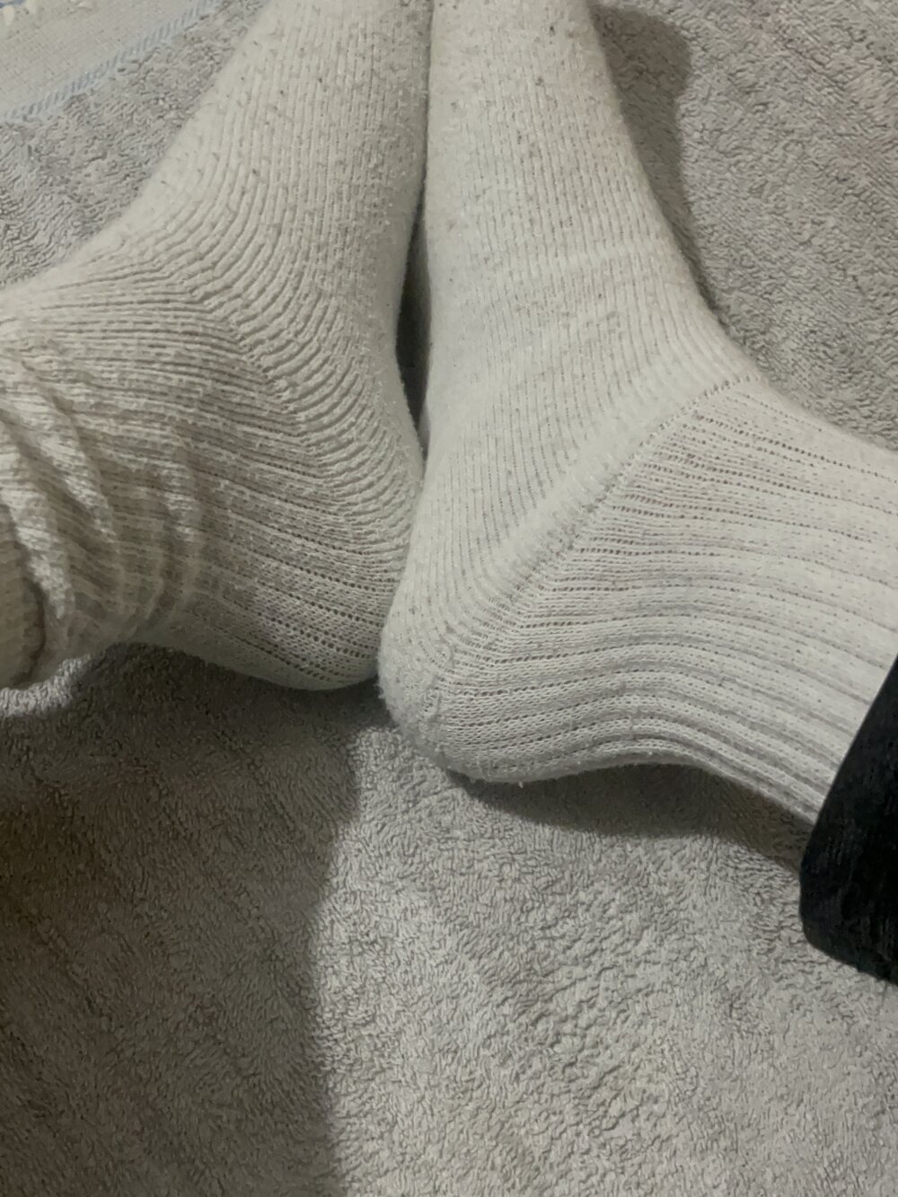 tropicalpied profile