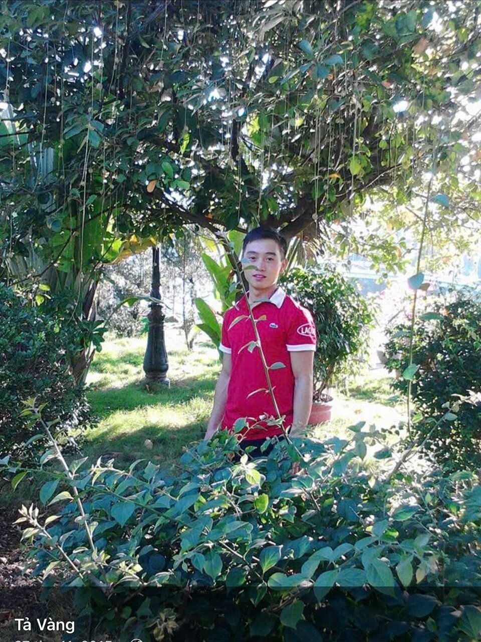 giph9's profile picture