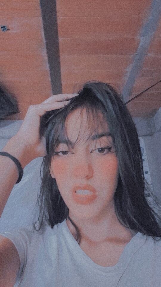 ARIA_MELLER
