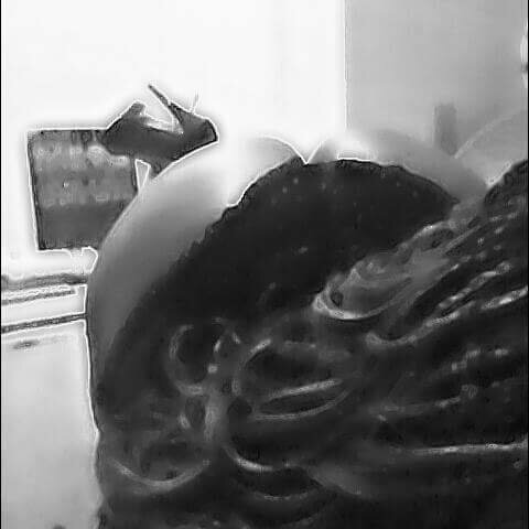 Luna_Phoenix profile