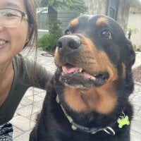 Spiceenoodle's Offline Chat Room