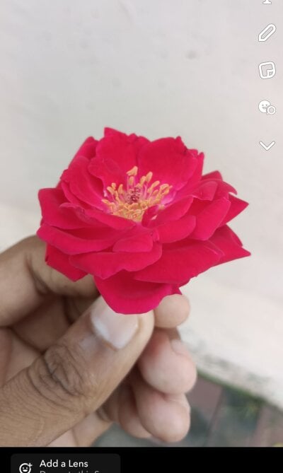 sexy_boy000876 Avatar