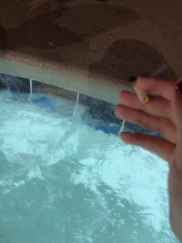 goldieblunt's webcam live show