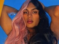 The_velvet_Sandra's webcam live show