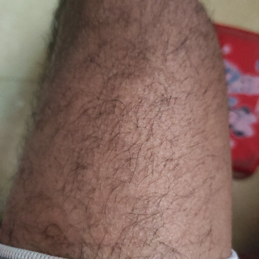 anykebut profile