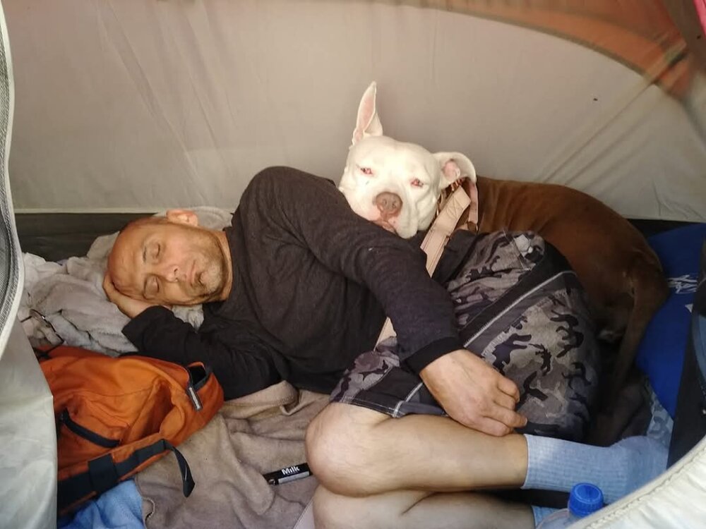 Suckuoff247365's most recent online preview