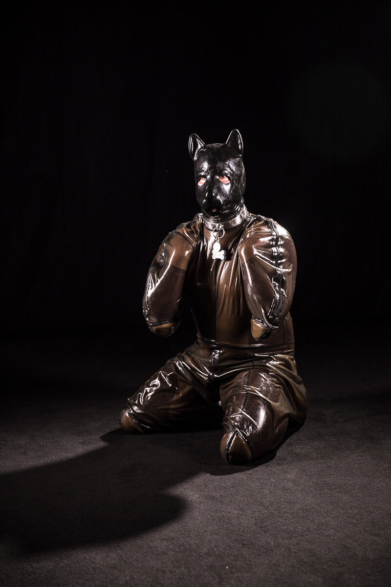 KatheterDOG