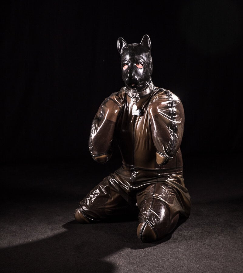 katheterdog from stripchat