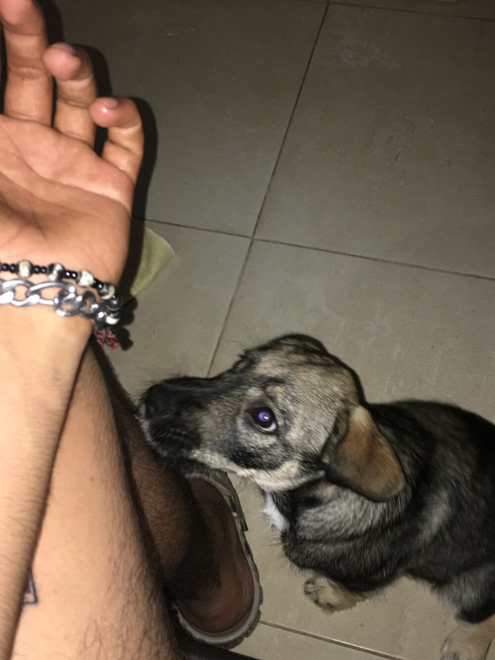 tuntuntiburon from stripchat