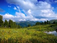 AmelieReve's webcam live show