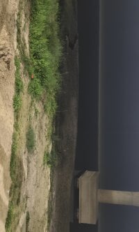 lov_my_dick's webcam live show