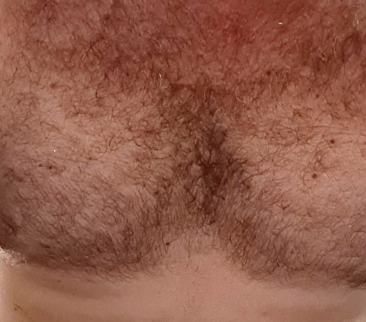 HairyBearTopDominant@xh Offline XXX-Chat