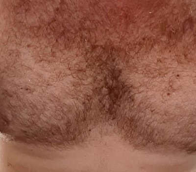 HairyBearTopDominant@xh profile