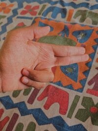 Soul_of_fox's webcam live show