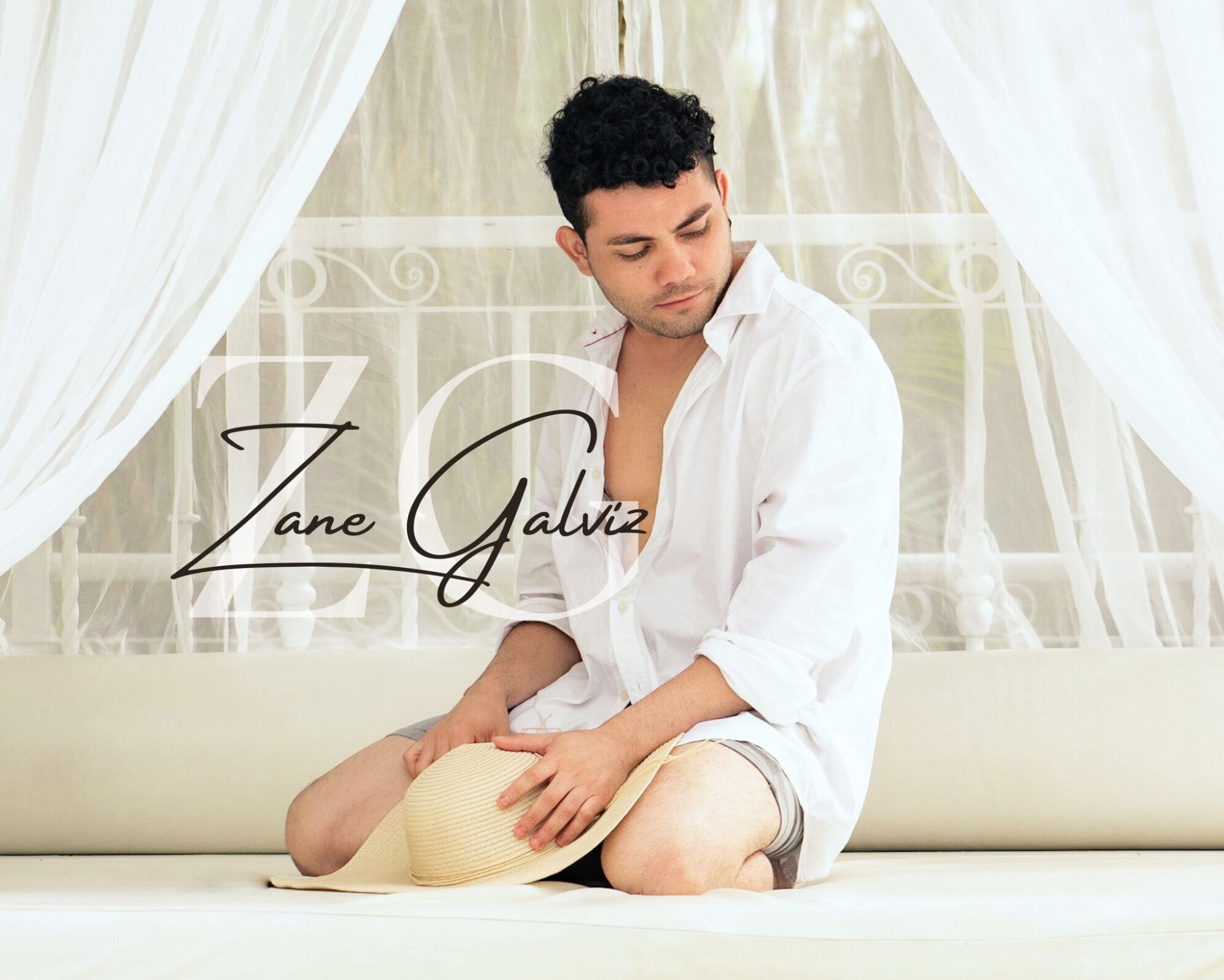 zanegalviz