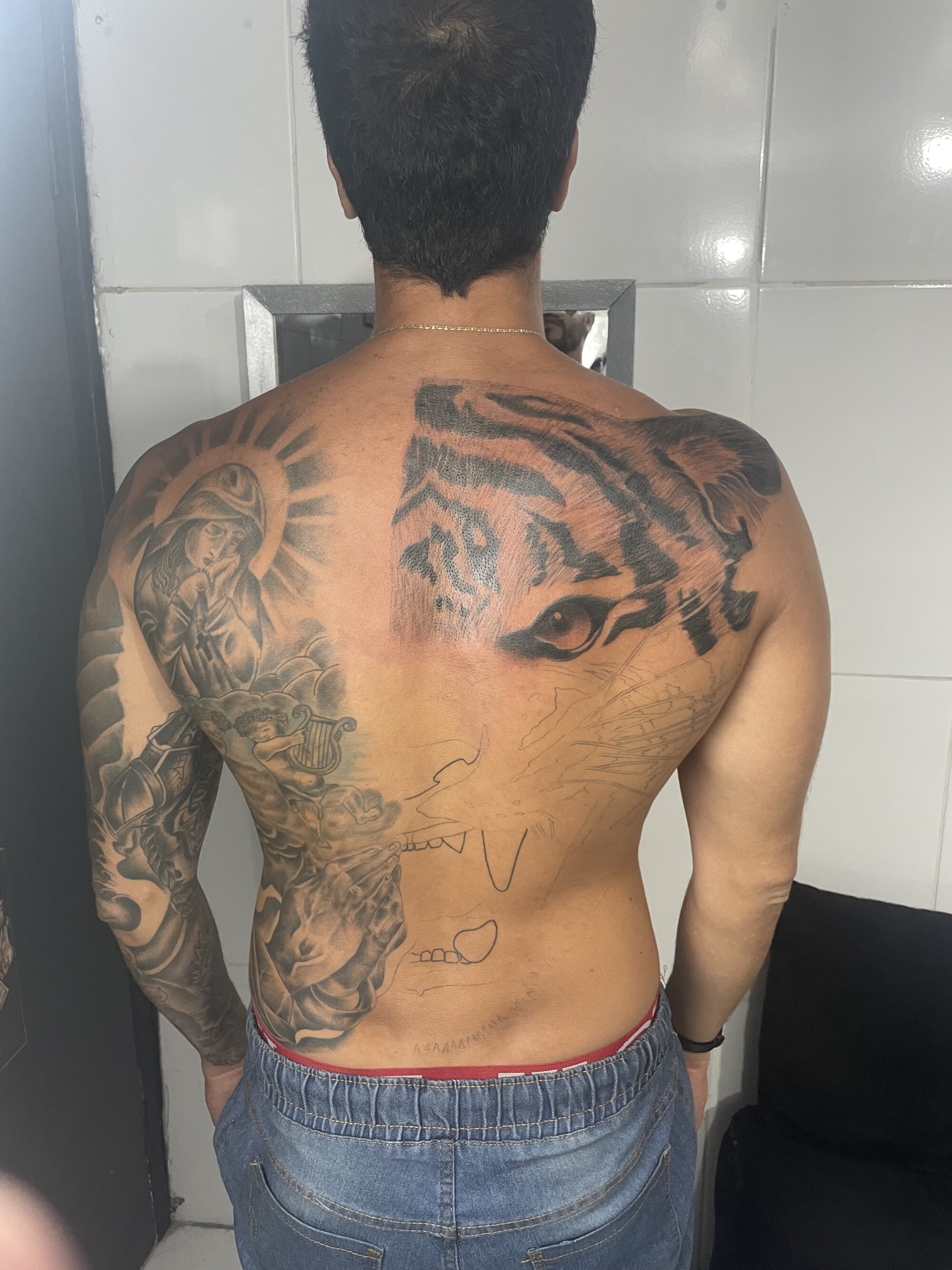 Wellington0490