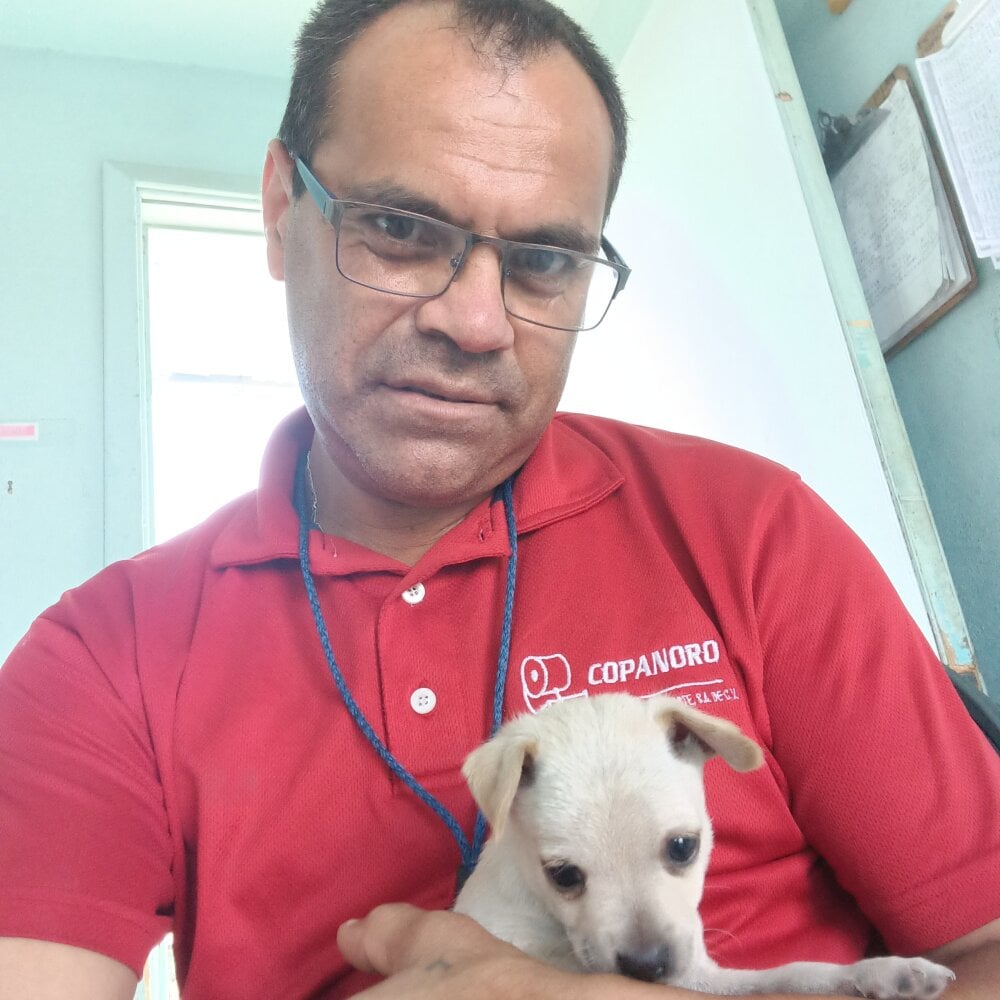 pornocachodo's Offline XXX Chat