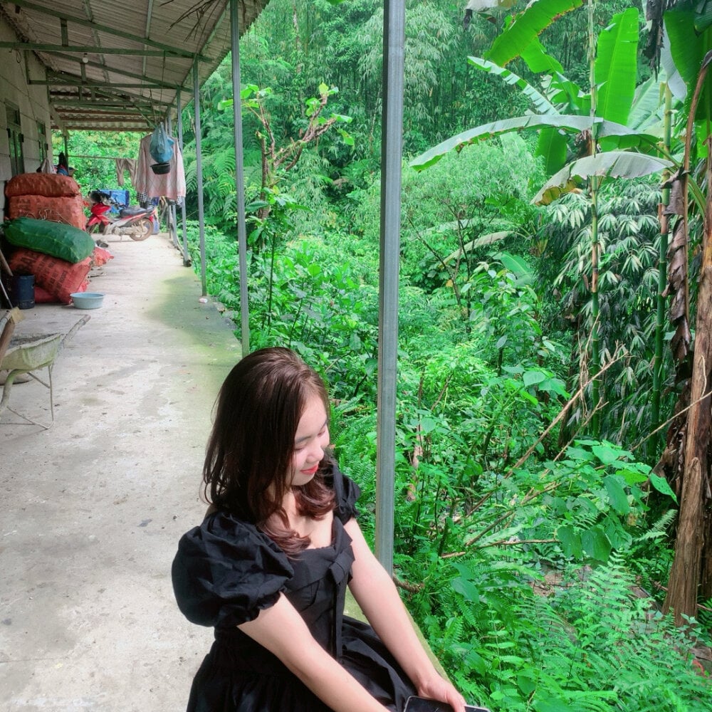 Lyminhtinh profile
