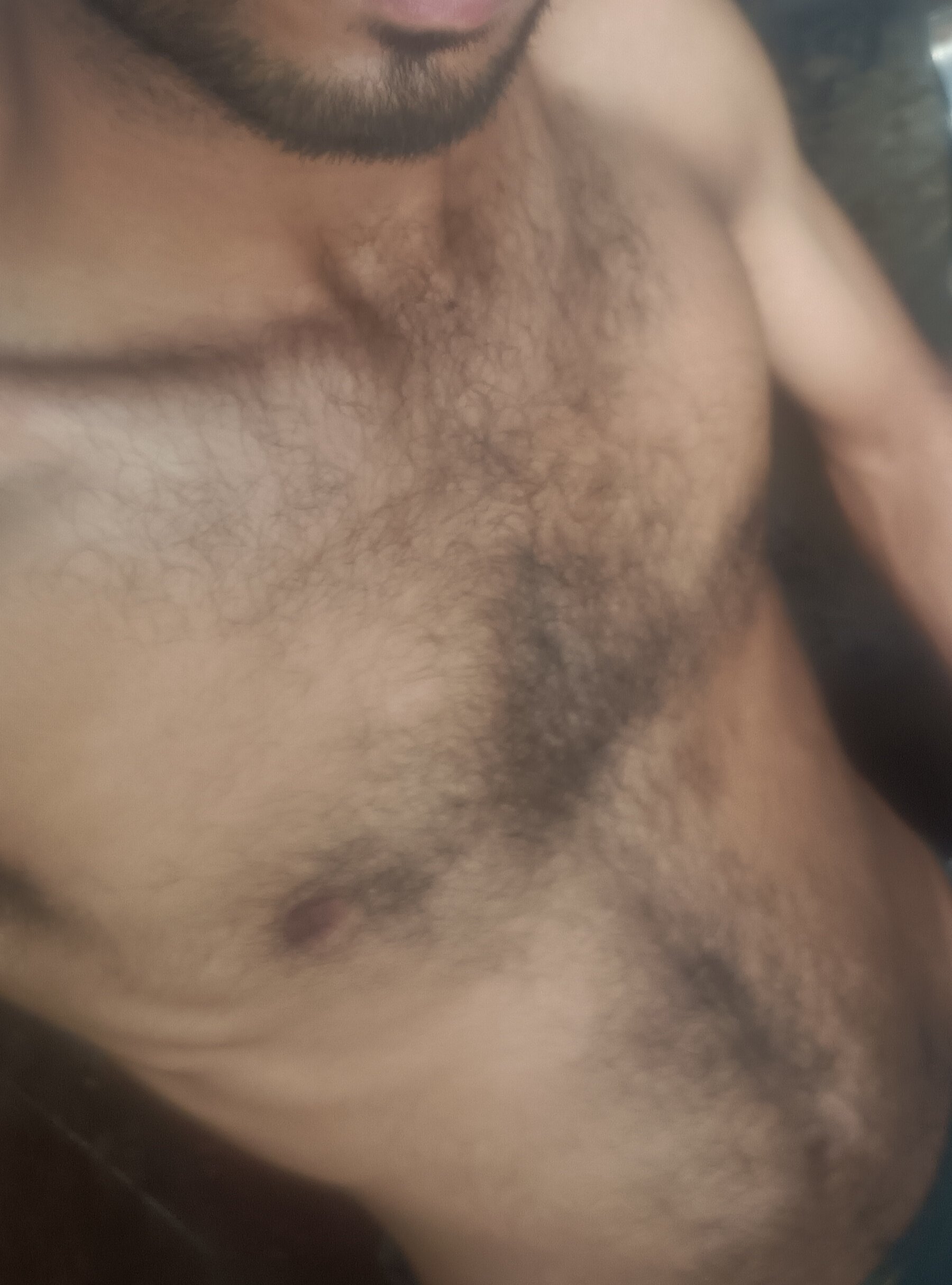 xhamsbo