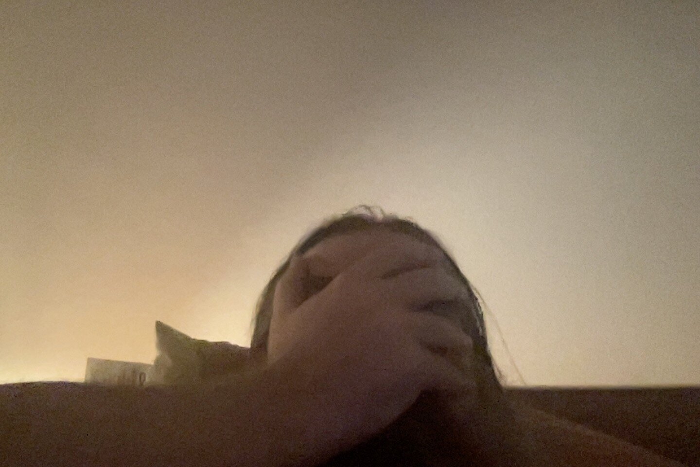 ivasmalldick1