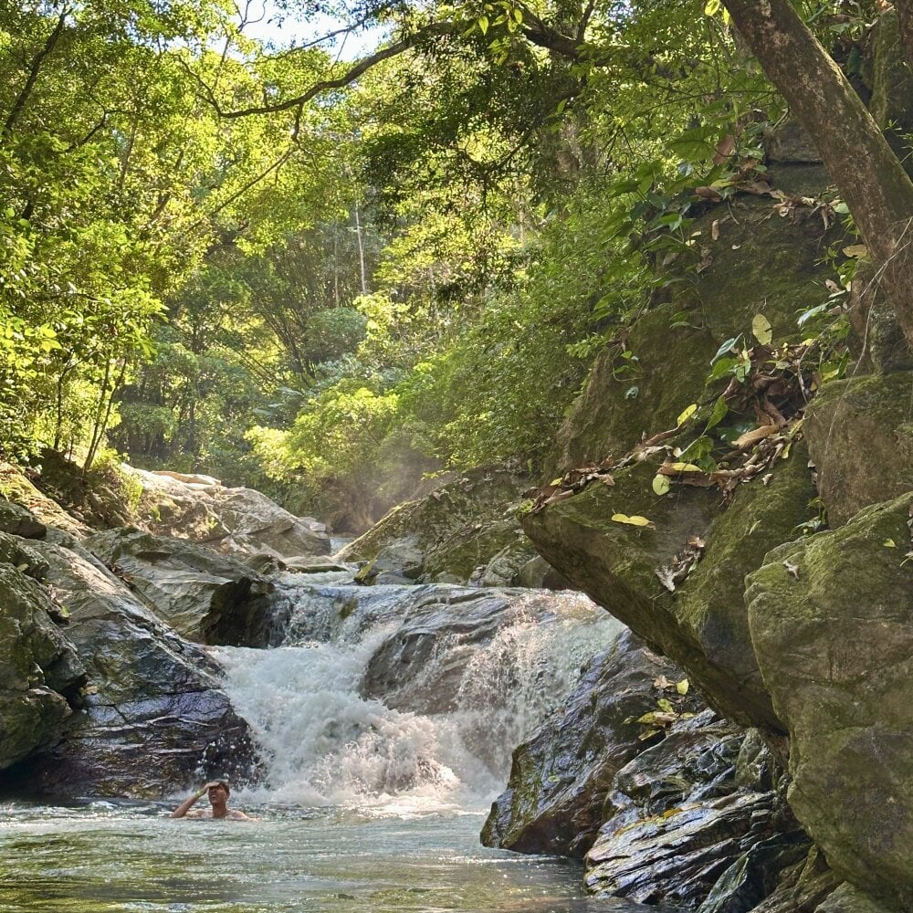 seductivox from stripchat