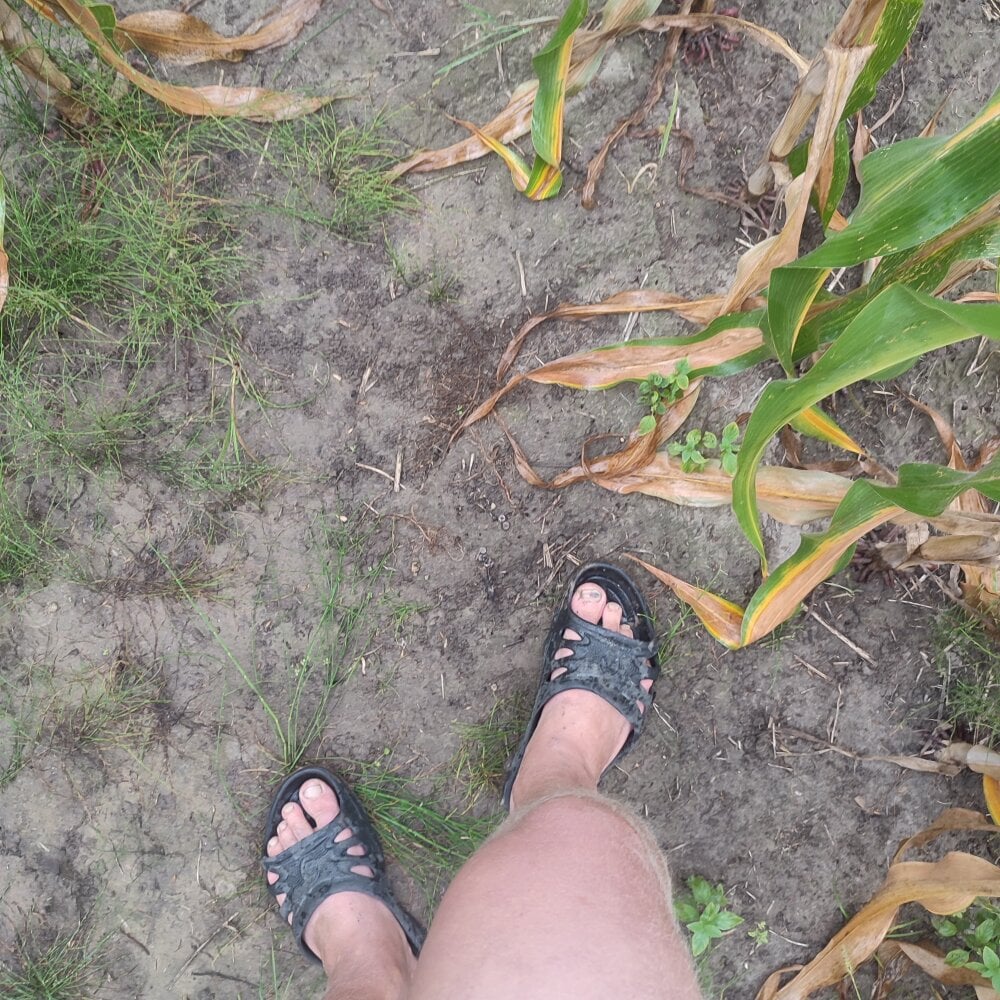 cahasa20 from stripchat