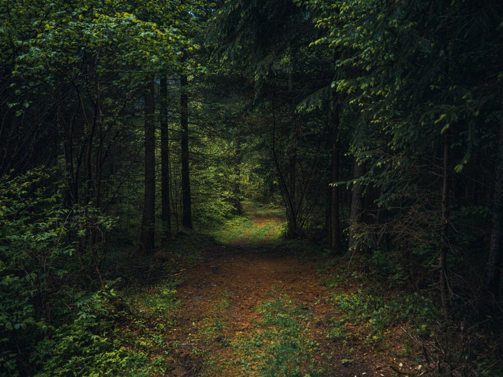 mycumforyou25 from stripchat