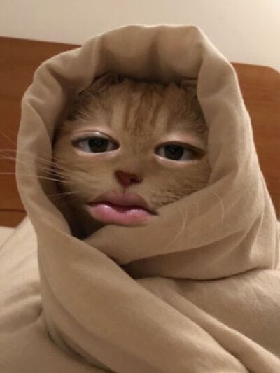 kaikaimandayonn profile