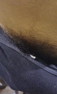 Brzgko's webcam live show