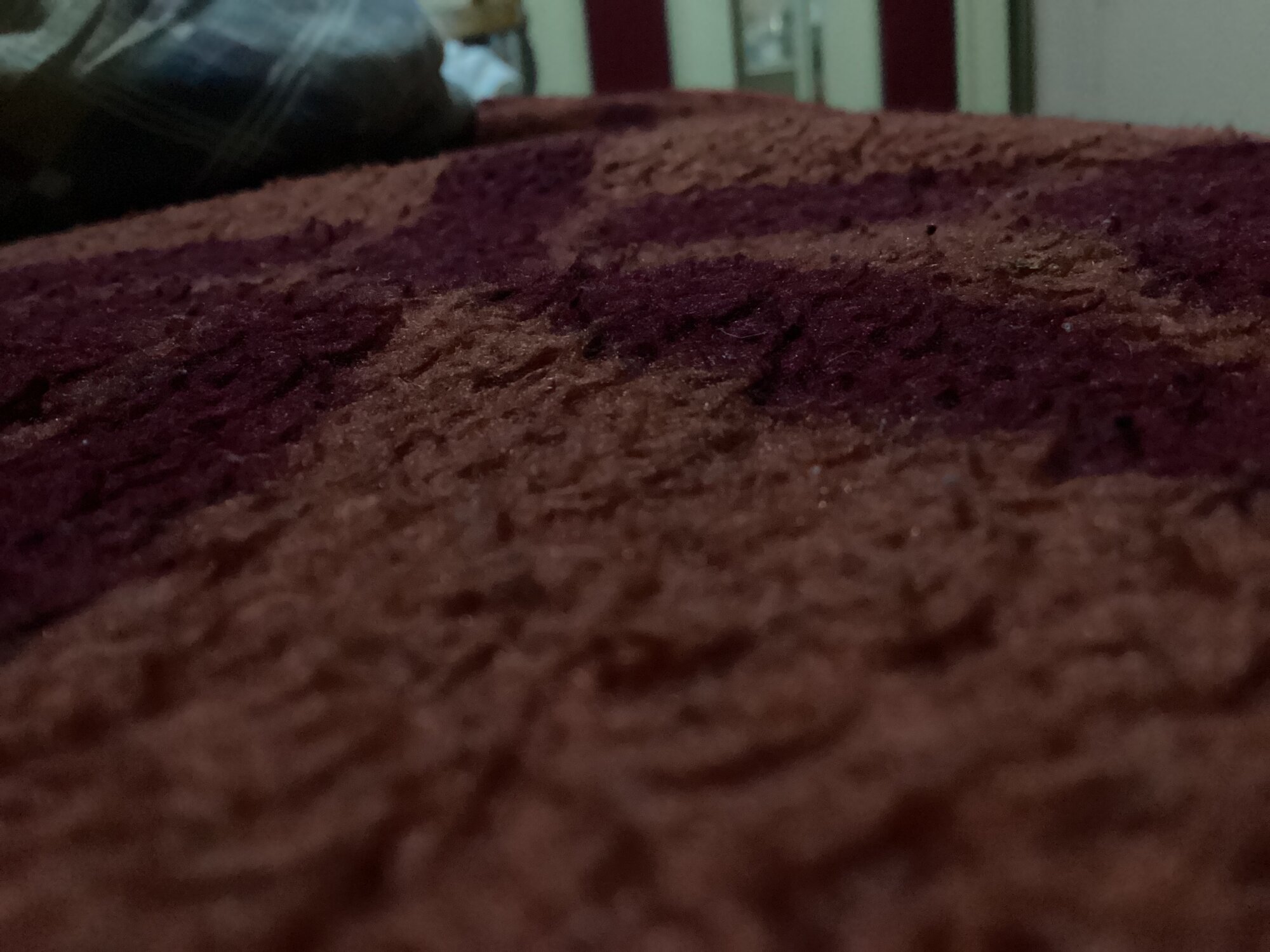 bigblackcock102