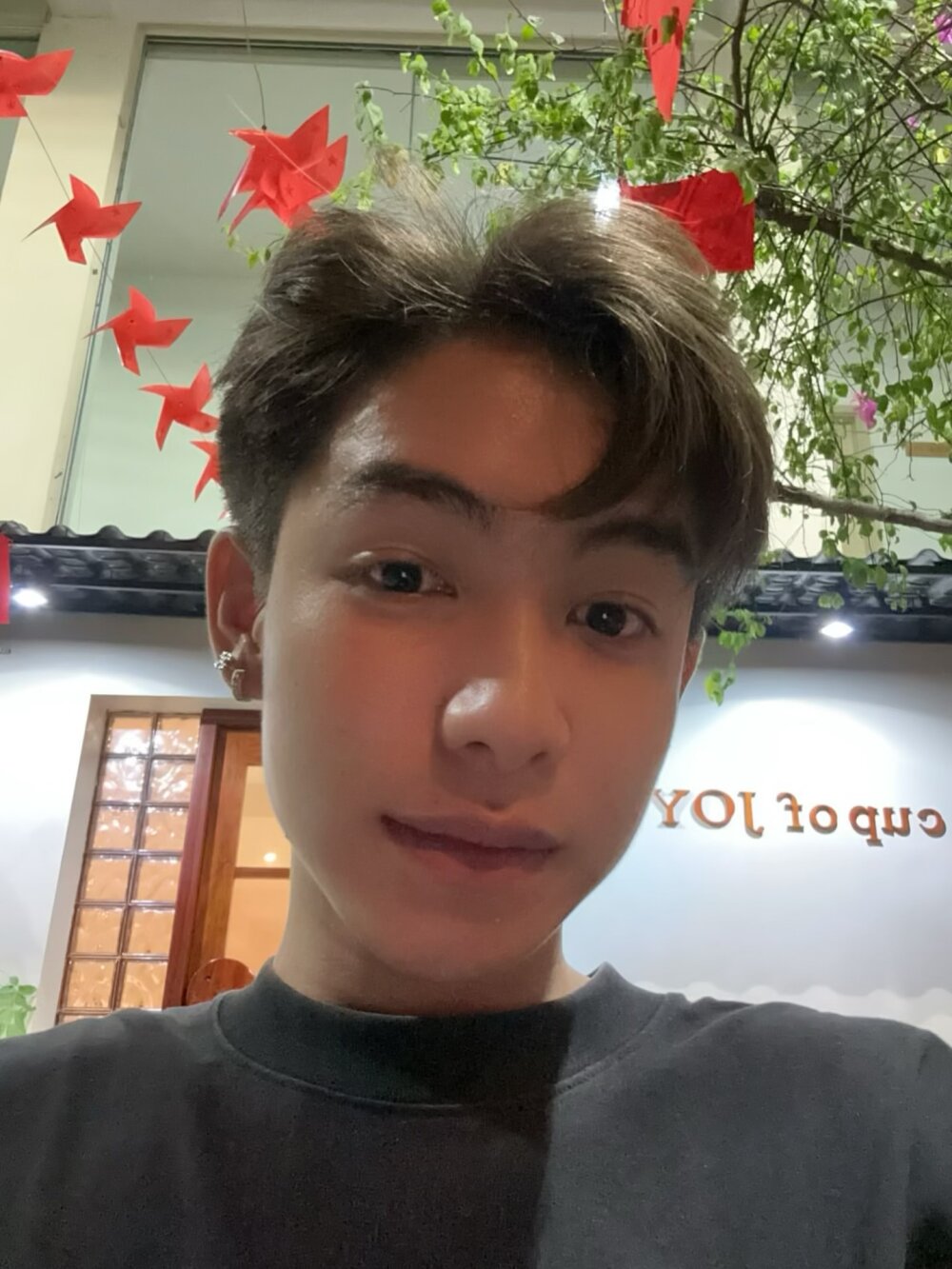 dominhquo from stripchat