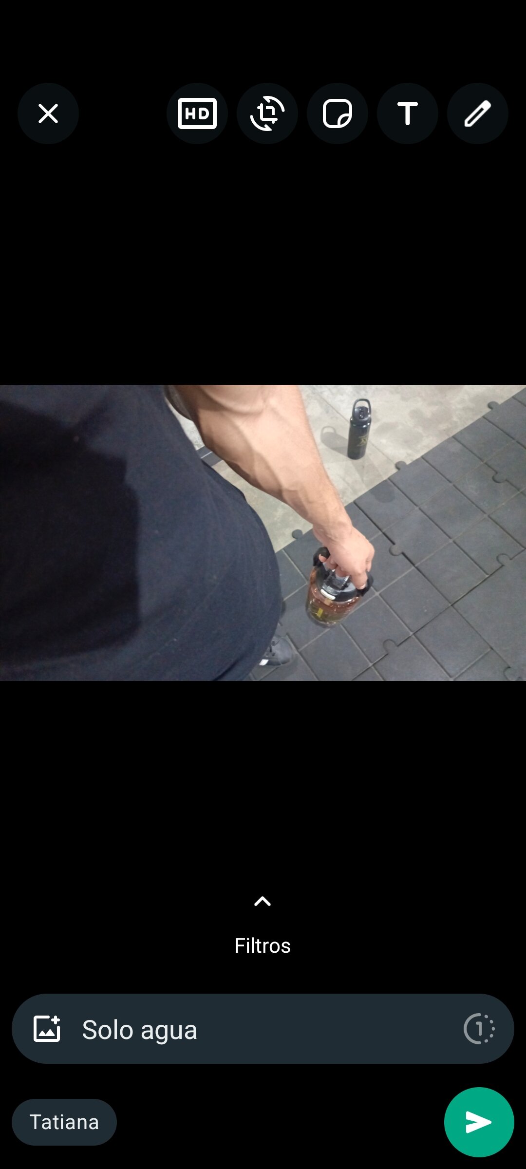 Polo_horny