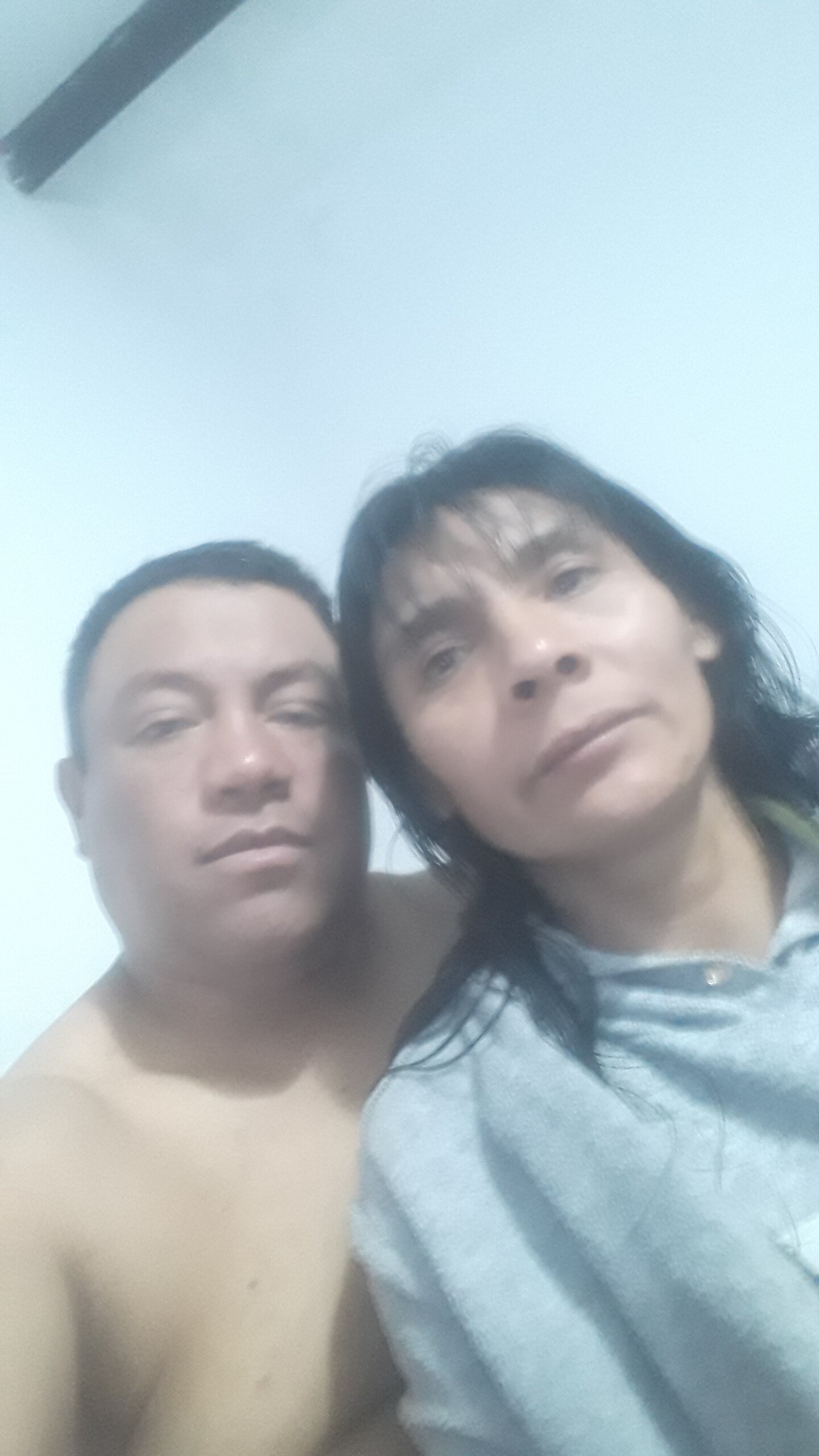 bonitabolita