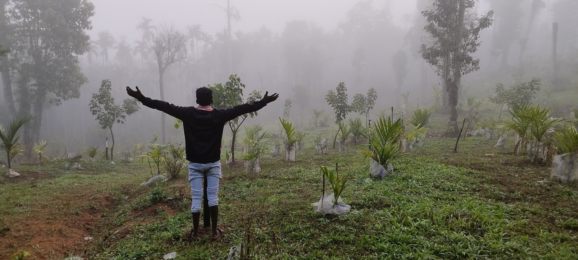 RainedNewyear