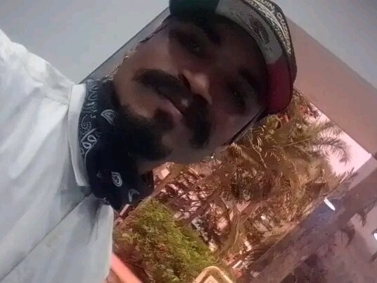 Elnegrito3338 profile