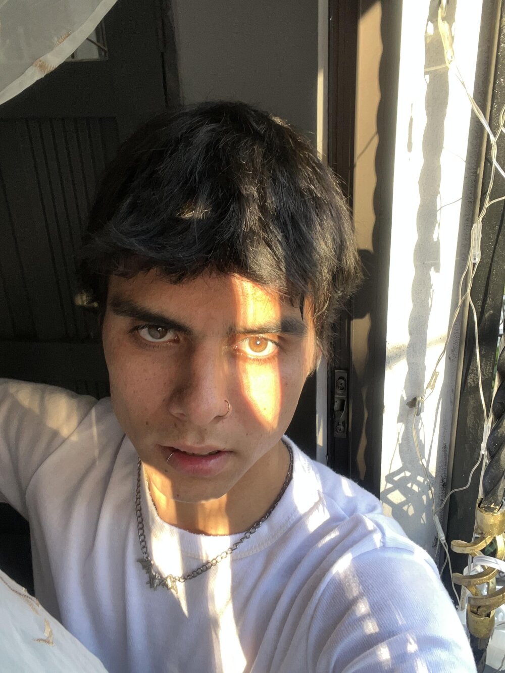 Alexis_Mendez_ profile